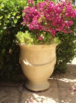 Anduze Urn - Traditional Cream Glaze